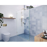 Vela 48 in. x 78 in. Fully Frameless Single Fixed Shower Panel