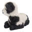 Bébé agneau couché-50844491