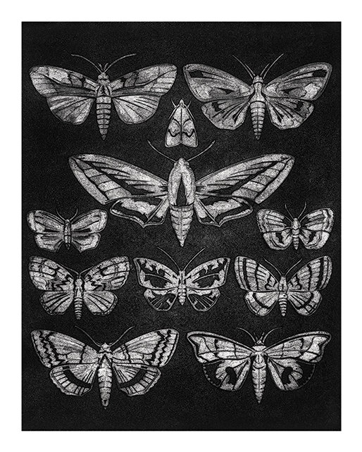 Barry Goodman - Painting, Paper