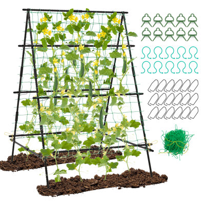 146 cm H x 130 cm W Arched Trellis
