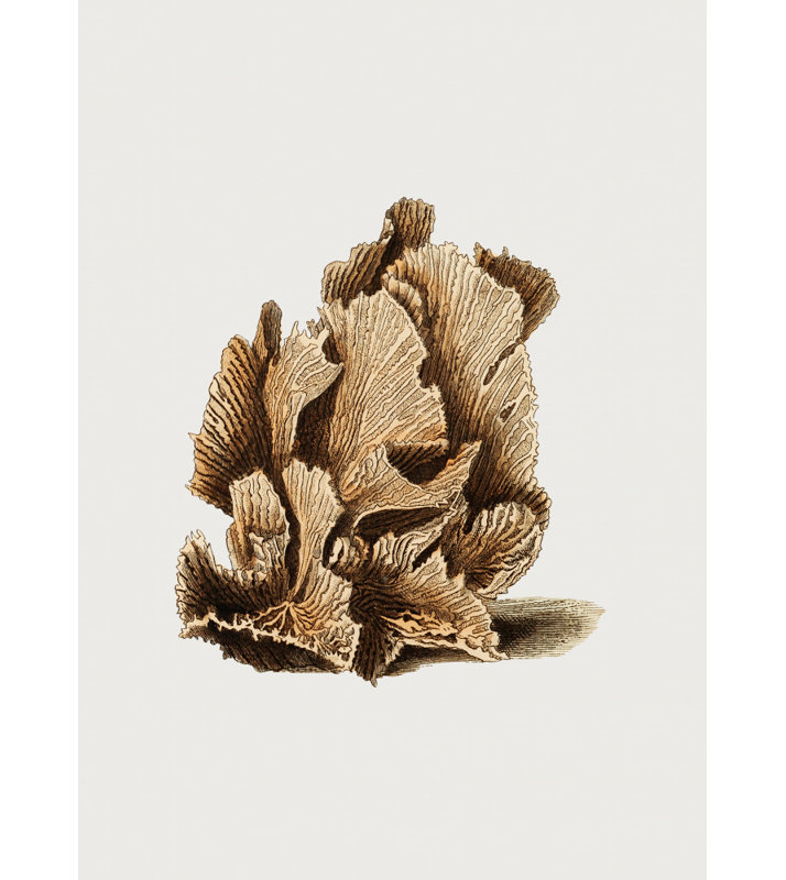Wrapped Canvas Print, 91.44 cm H x 60.96 cm W