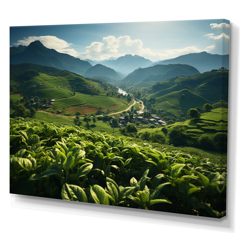 Plantation de thé thaïlandais, H 34 po x l 44 po x P 1,5 po, Toile tendue