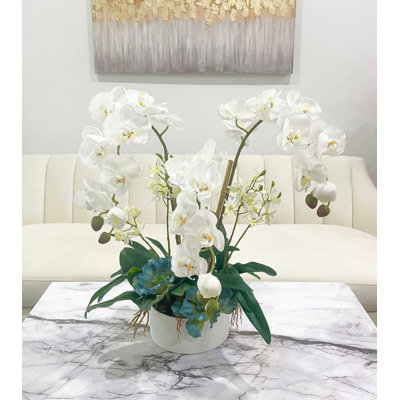 Malden Orchids Arrangement in Vase