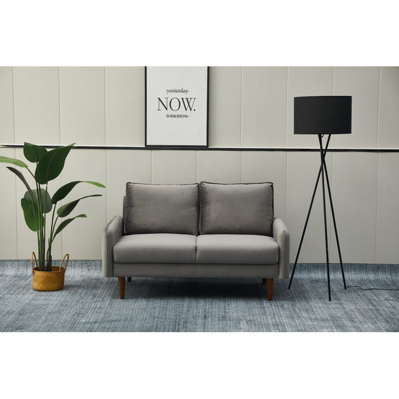 Emteas 57.3'' Velvet Loveseat, Gray Velvet
