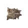 Charline 6' X 7' Brown Cowhide Area Rug