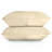 100% Cotton Sheet Set-72058287-72058290