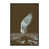 Toile avec cadre gris
