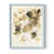 Blue Framed is unavailable
