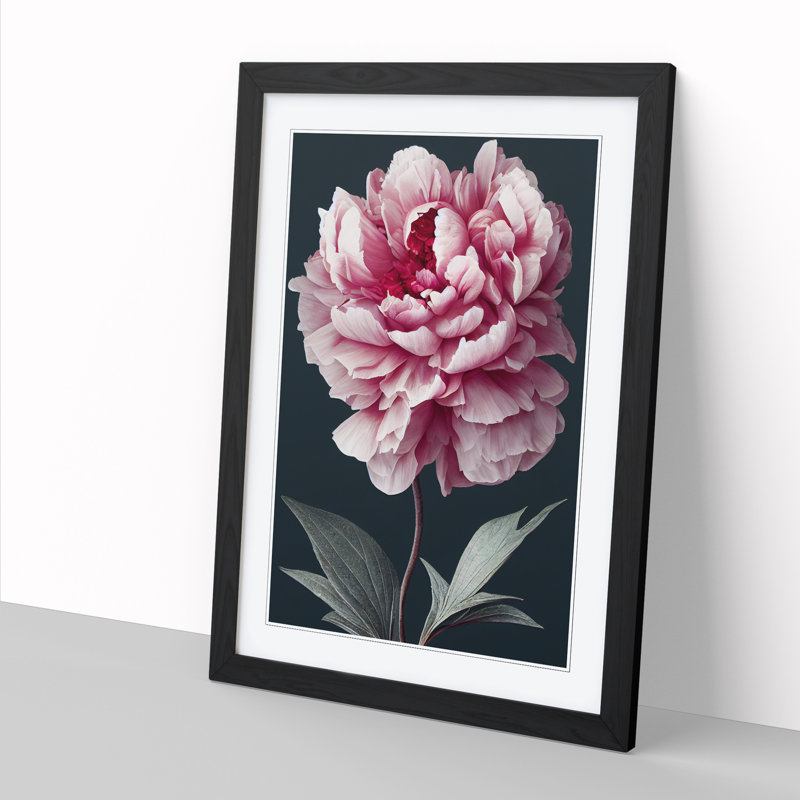Peony Flower Portrait - Single Picture Frame Print, Black, 46cm H x 34cm W x 2cm D