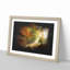 Autumn Forest Paint Splash - Picture Frame Graphic Art-56867202-56867203