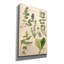 «Epoph Graffiti» Scrophularineae »par Art Licensing Studio, art mural sur toile, 40 po x 60 po