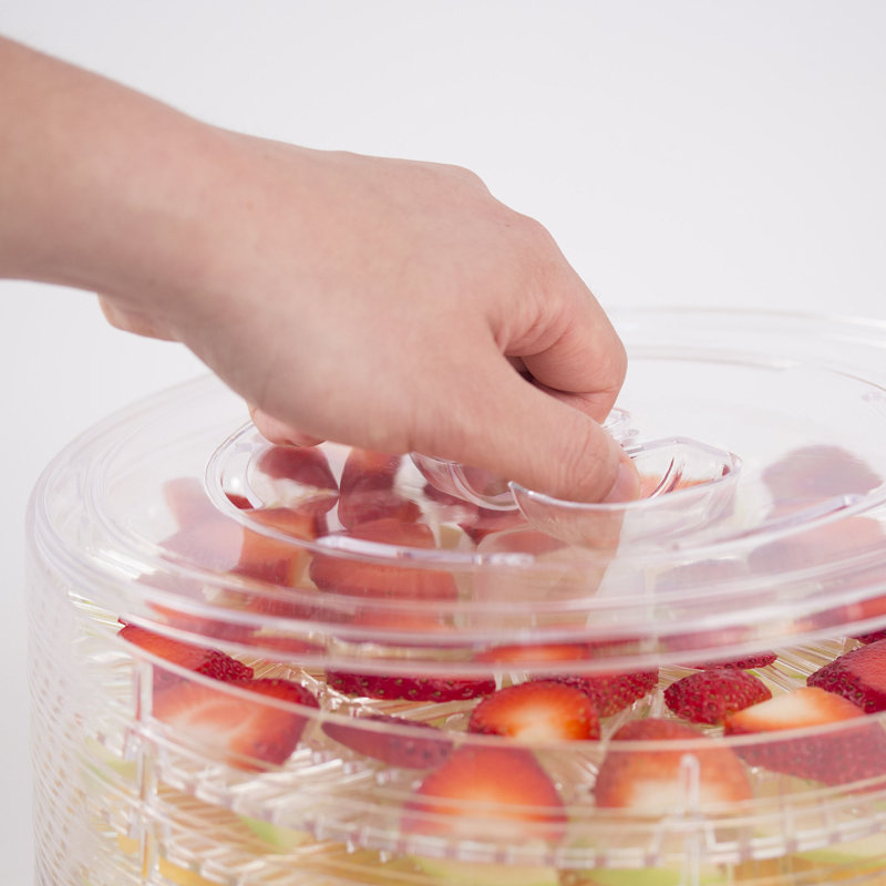 White Adjustable Thermostat Food Dehydrator with 5 Trays