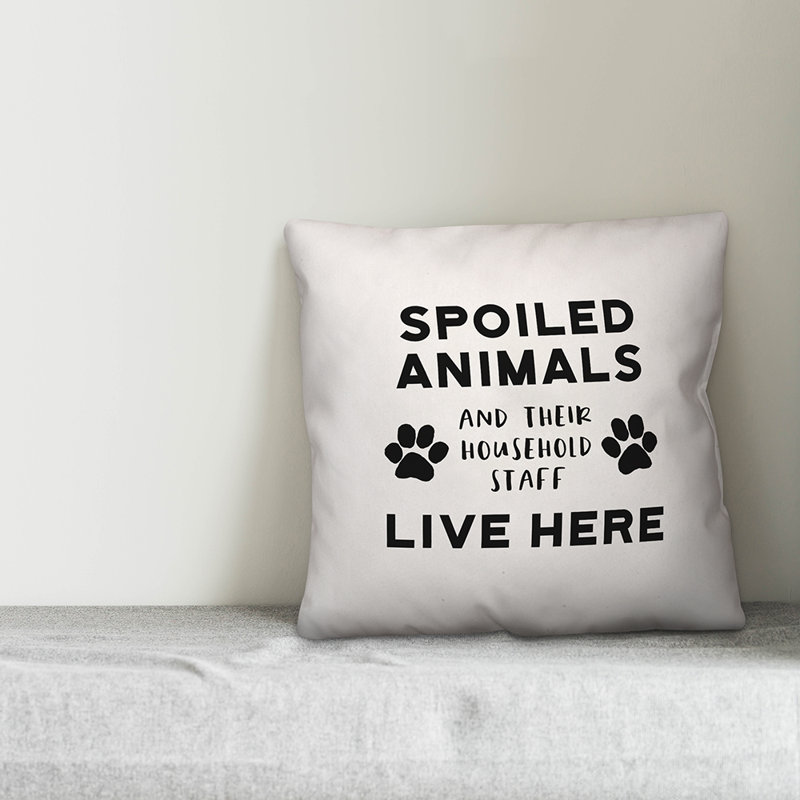  Coussin Spoilé