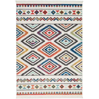 Indoor Rug