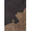 Rapture Abstract Area Rug in Brown-817180660