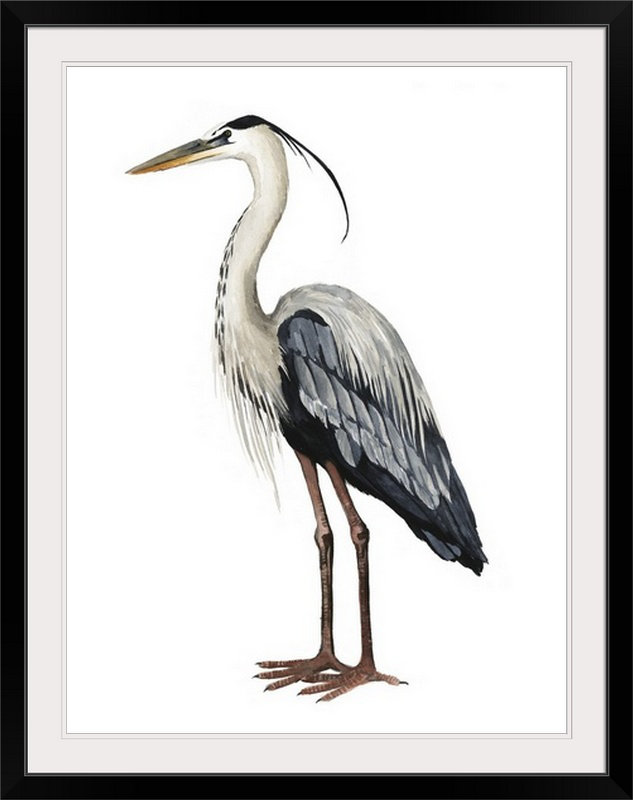 « i », reproduction d’art dépilée Sea Bird, H 24 po x l 20 po x P 1 po, Cadre noir