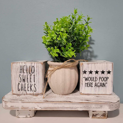 3-piece Rustic Bathroom Decor Set With Plant & Tray