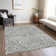  Machine Washable Indoor/Outdoor Chayden ACN1020 Gold Rug