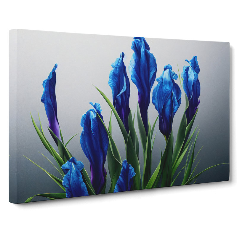Royal Iris - Wrapped Canvas Print, 35cm H x 50cm W x 3cm D