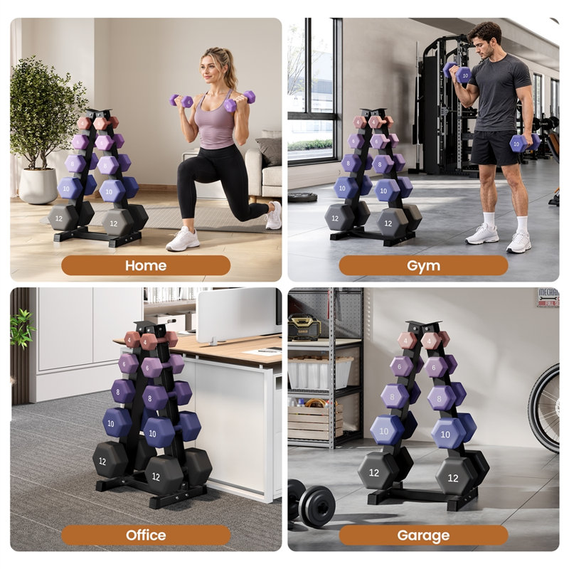 A-Frame Heavy Duty Metal Dumbbell Rack Space Saving Weight Organizer for Home Gym, 5
