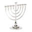 Roseland Menorah-2106433019