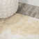 Dailah Abstract Two-Tone Modern Gold/Cream Rug