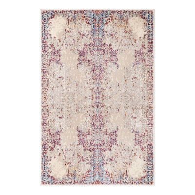 Oriental Indoor Rug
