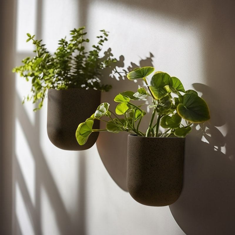 Elayna Venus 2 - Piece Plastic Wall Planter Set, Iron