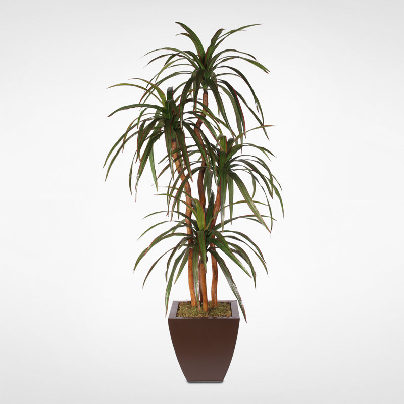 Faux Yucca Tree in Metal Pot