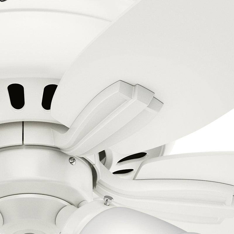 Newsome 42" 5 - Blade Traditional Indoor Flush Mount Ceiling Fan with Lights and Pull Chains, Fresh White