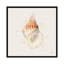 «Shell Collector III», reproduction d'impression sur toile tendue-27698957-72451953-72451958