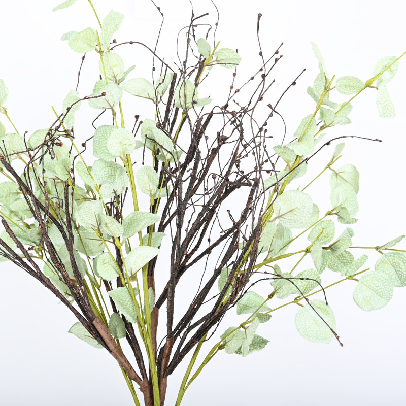 Arrangement de feuilles de brindilles, de brindilles avec des feuilles d'eucalyptus pour la décoration de bureau personnel Johns