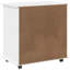 Solid Wood Standard Accent Cabinet-1078975324