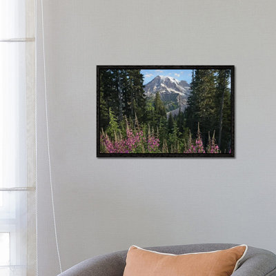 Fireweed Flowering And Mount Rainier, Mount Rainier National Park, Washington by Tim Fitzharris - Gallery-Wrapped Canvas Giclée on Canvas