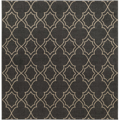Amato Rug