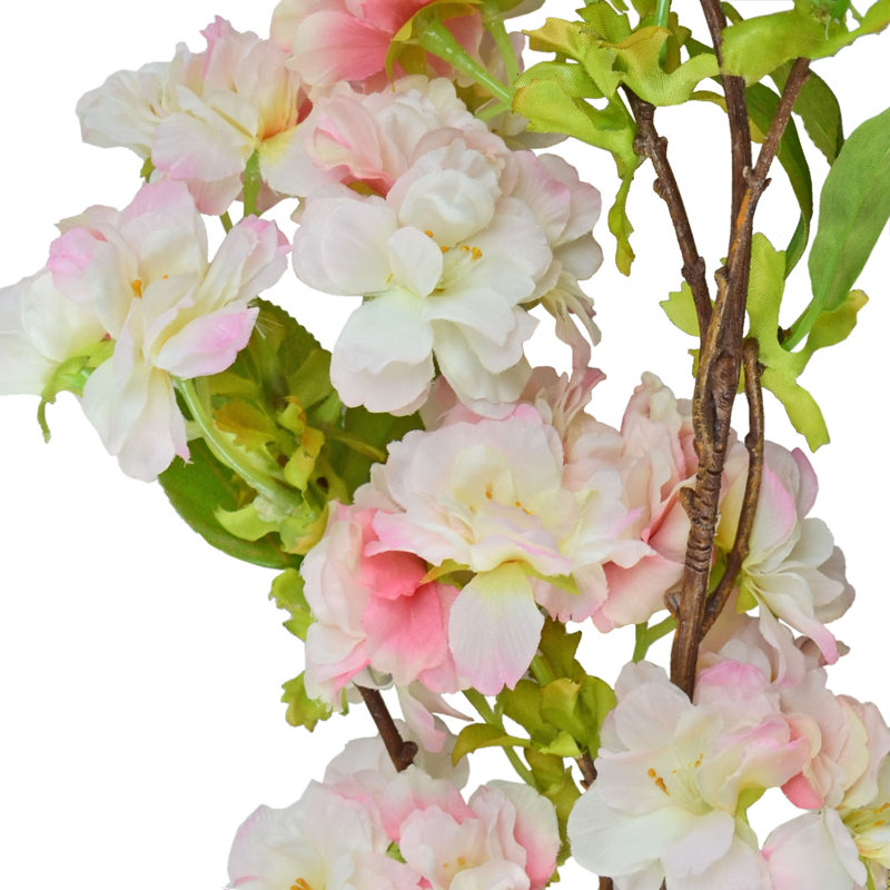 Tiges de fleurs de cerisier