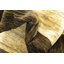 Nash One-of-a-Kind 3'6" X 6'5" New Age Wool Area Rug in Brown