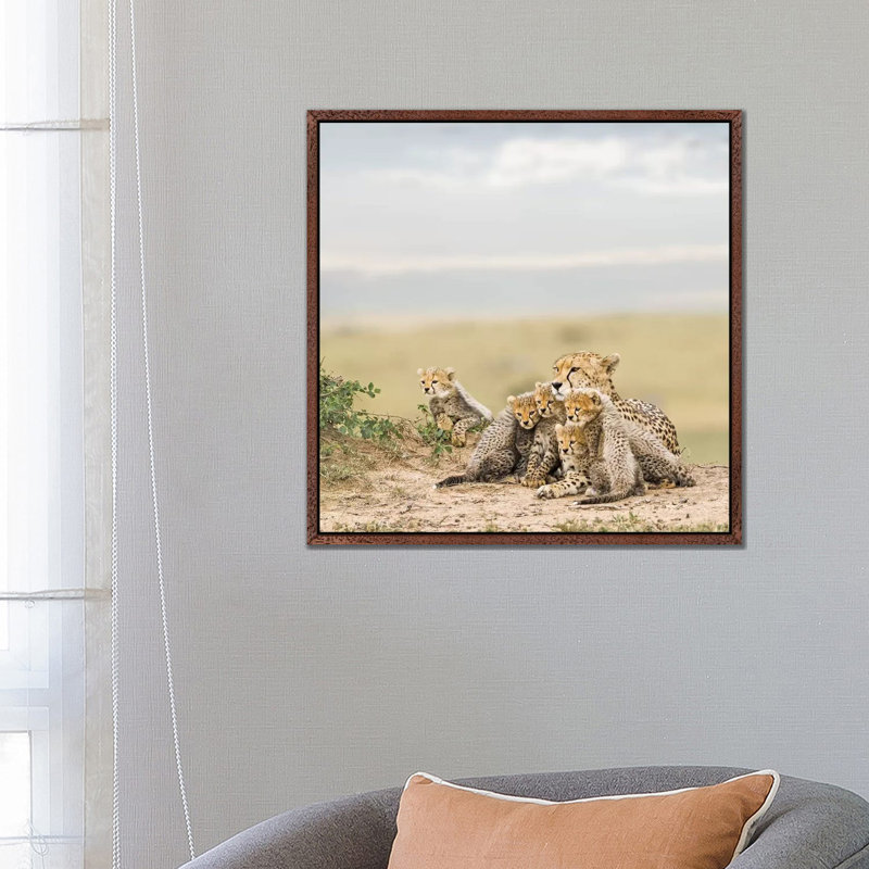 Colour Cheetah & Cubs 1 Piece Wall Art on Canvas, 66.04 cm H x 66.04 cm W, Classic Brown Wood Framed Canvas
