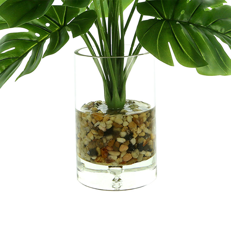 Monstera In Rocks With Water
