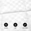 Elastic Mattress Protector Case Pack