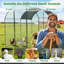 6m² Chicken Run