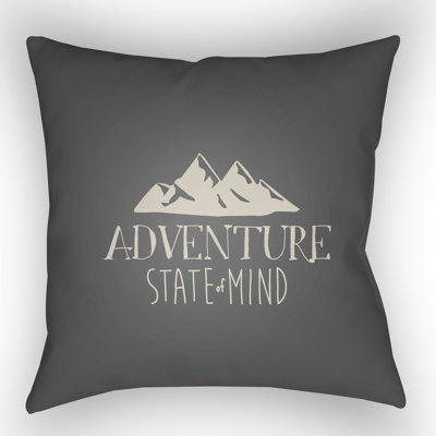  Indoor/Outdoor Throw Pillow