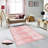 Stylish Woven Carpet, 5.6 x 7.5 Feet, 100% Polyester, 0.3 in Pile Height | Antibacterial, Non-Slip PVC Felt Dot Underside, Machine Washable | 3D Digital Printing, Durable & Easy to Maintain - Perfect for Any Room-1739446203