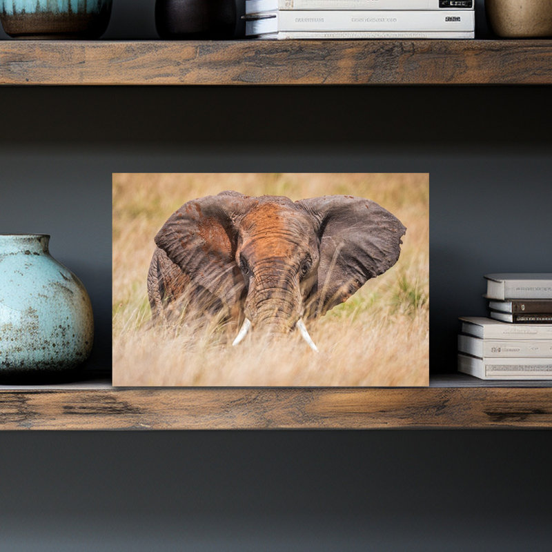 Majestic African Elephant Peaceful Contemporary Elephant Nature Portrait Wall Art Print by Jeffrey C. Sink - 1 Piece Wrapped Canvas Wall Art