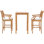 Outdoor 3 - Piece Teak with Cushions