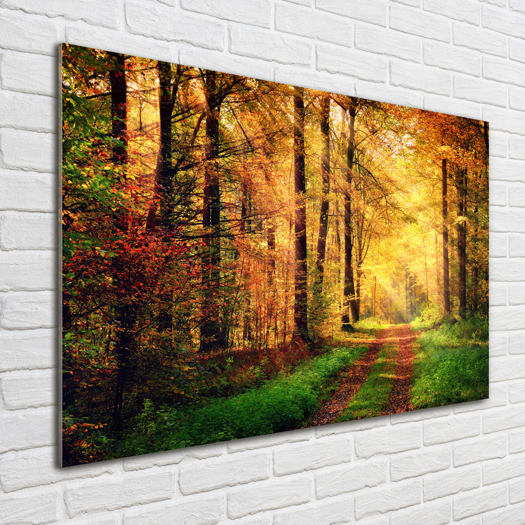 Glasbild Autumn Forest