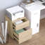 41cm Wide 2 -Drawer File Cabinet-388468505