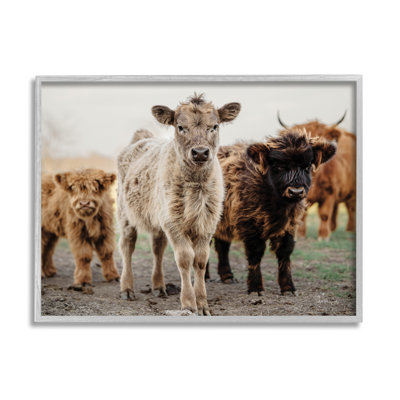Ax-647-Giclee " Baby Calves On Farm " by Dakota Diener