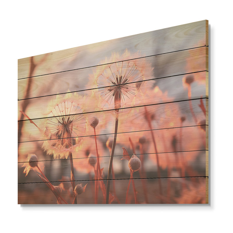 «Delicate Calm Dandelion Serenity II» - Autres plantes et fleurs sur bois, H 24 po x l 32 po x P 0,78 po