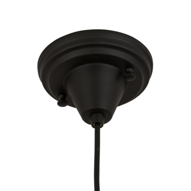 Luminaire suspendu noir thermolaqué 1 lumière Danaleigh
